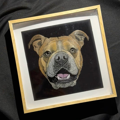 Knife Scratch 3D Pet Portrait