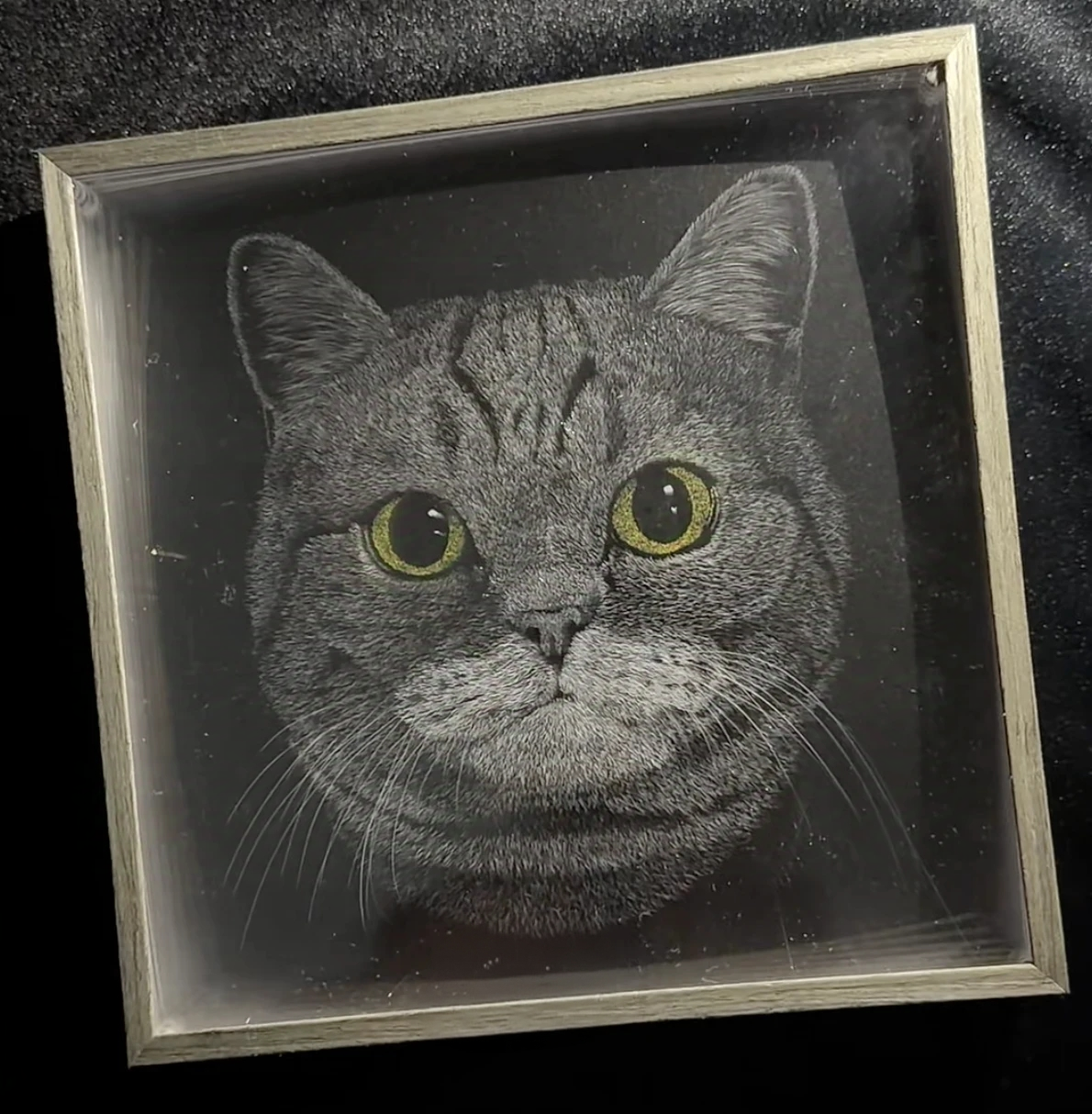 Knife Scratch 3D Pet Portrait