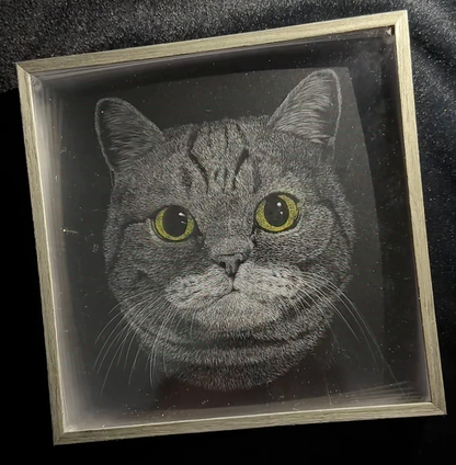 Knife Scratch 3D Pet Portrait