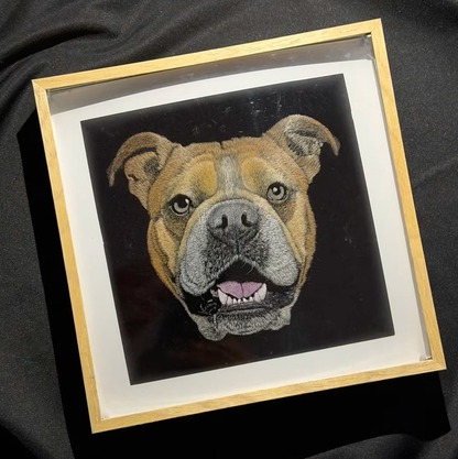 Knife Scratch 3D Pet Portrait
