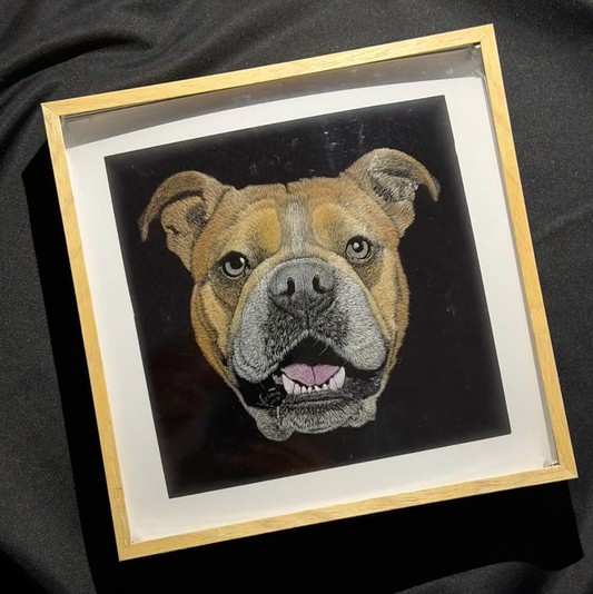 Knife Scratch 3D Pet Portrait