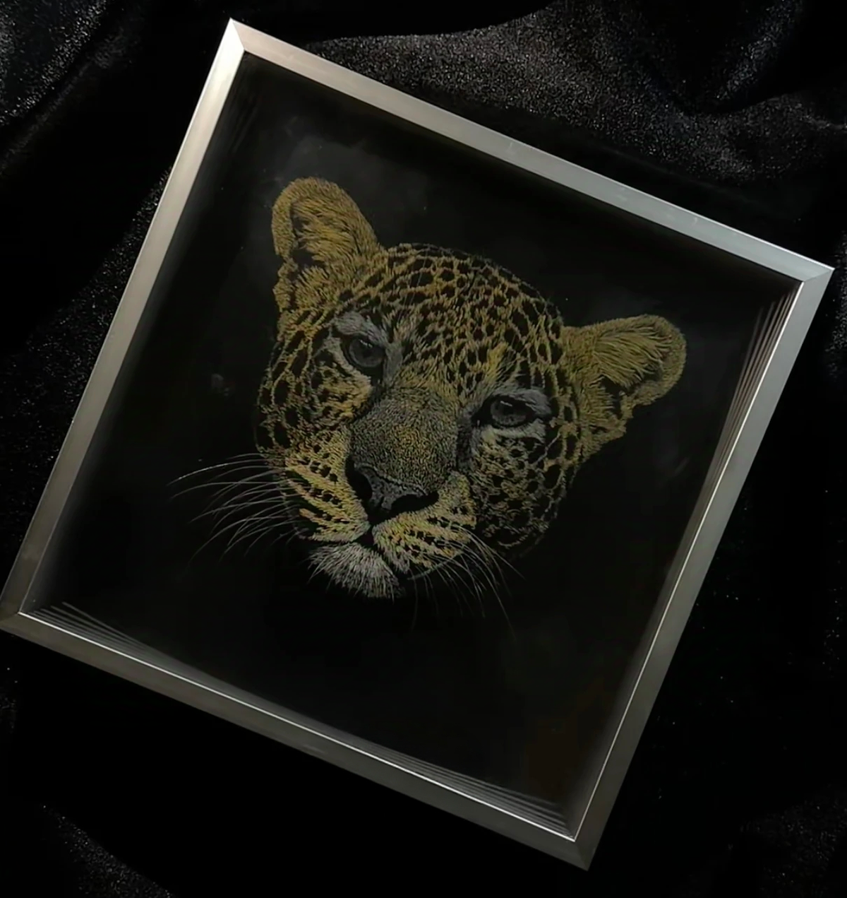 Knife Scratch 3D Pet Portrait