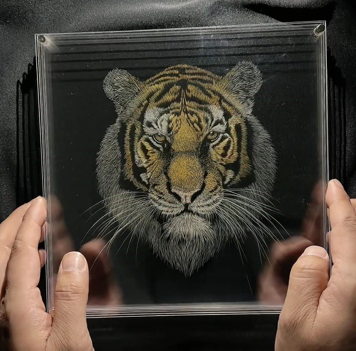 Knife Scratch 3D Pet Portrait