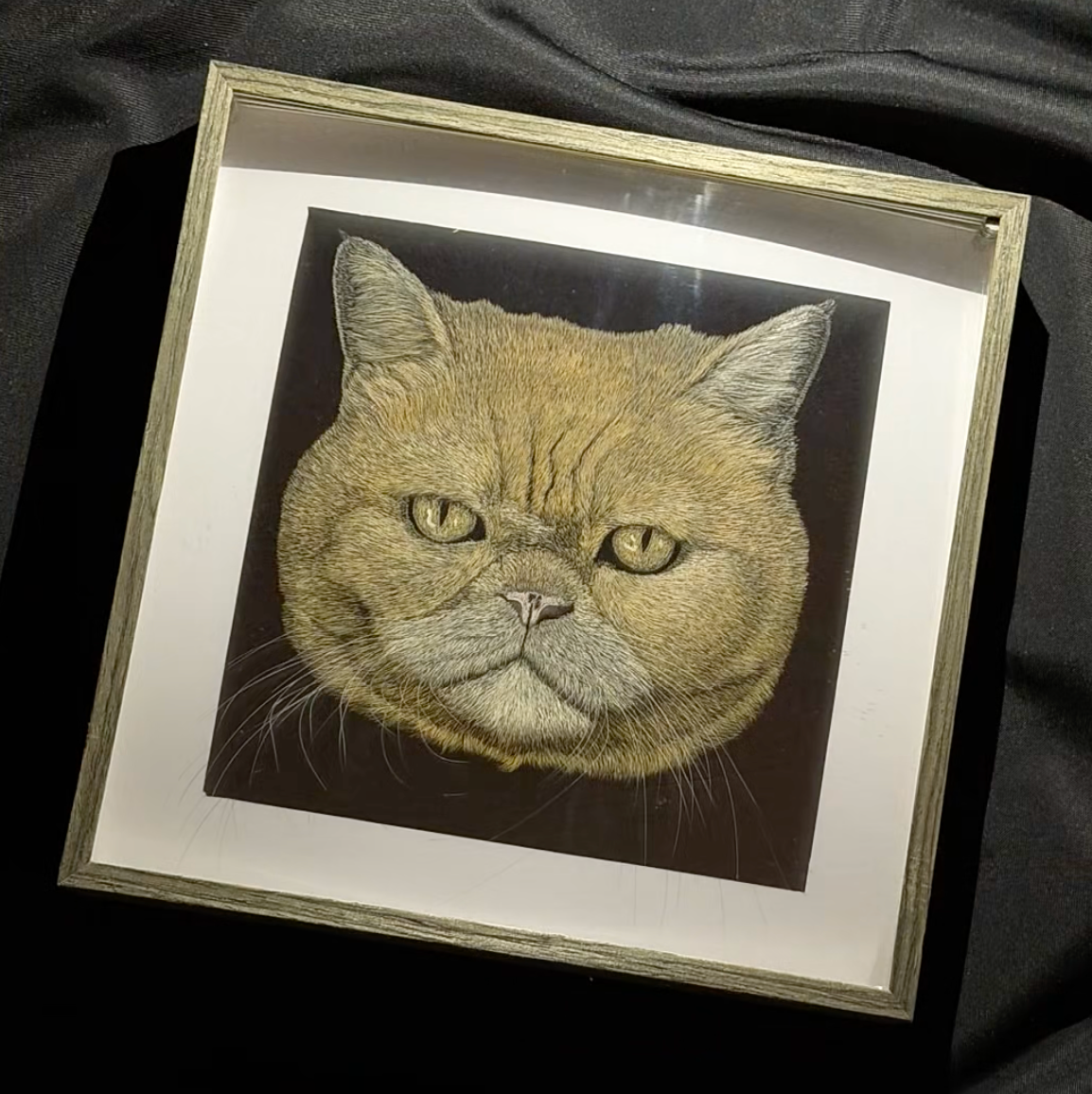 Knife Scratch 3D Pet Portrait