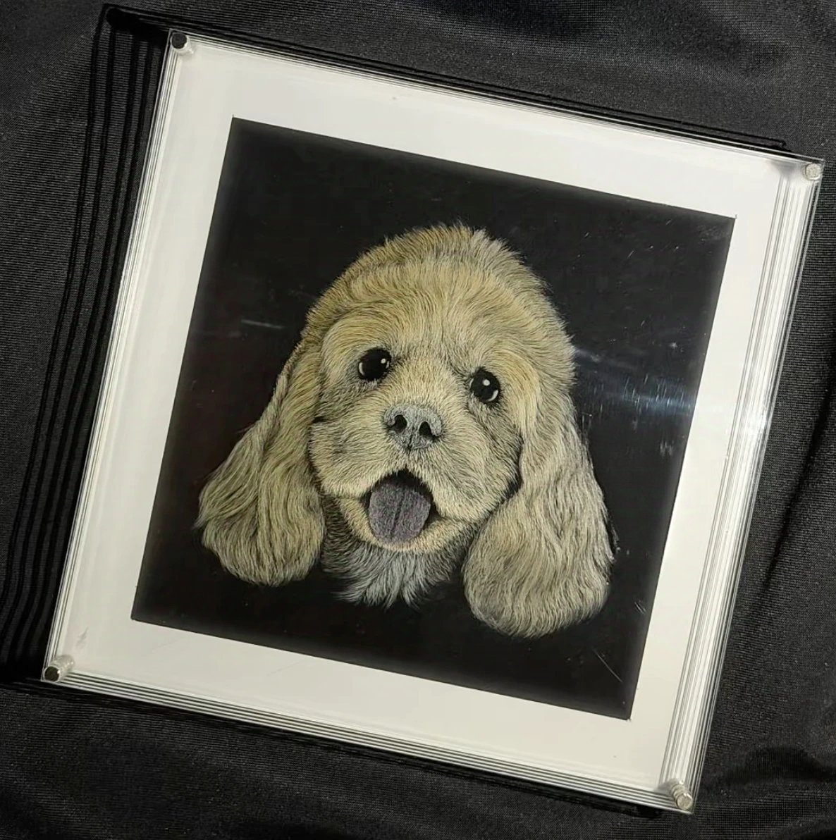 Knife Scratch 3D Pet Portrait